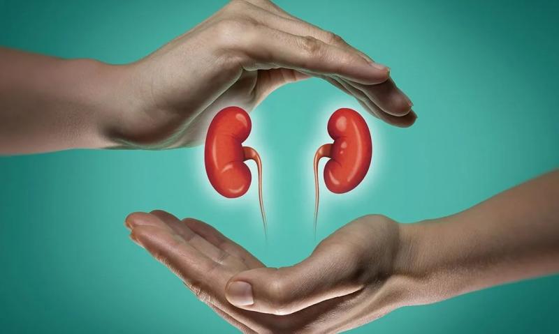 Implementará un Test gratuito para prevenir cáncer de cuello de útero.