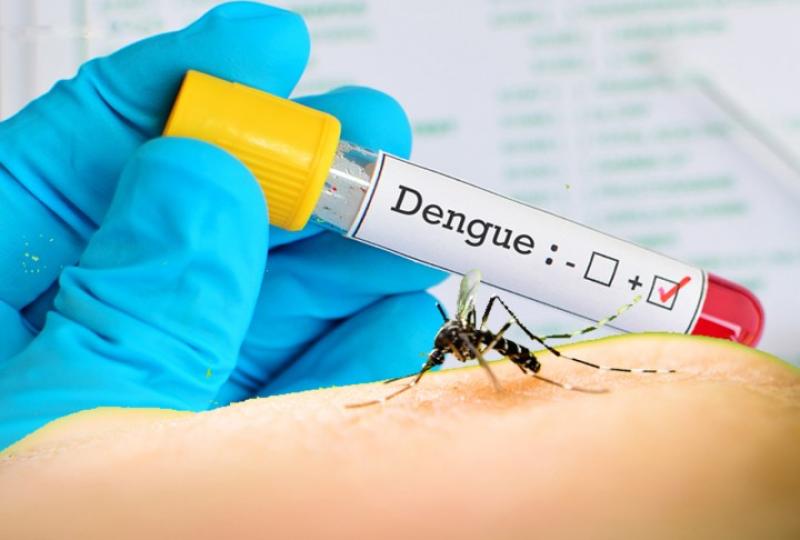 Se detectó el primer caso autóctono de dengue en la provincia de Santa Fe.