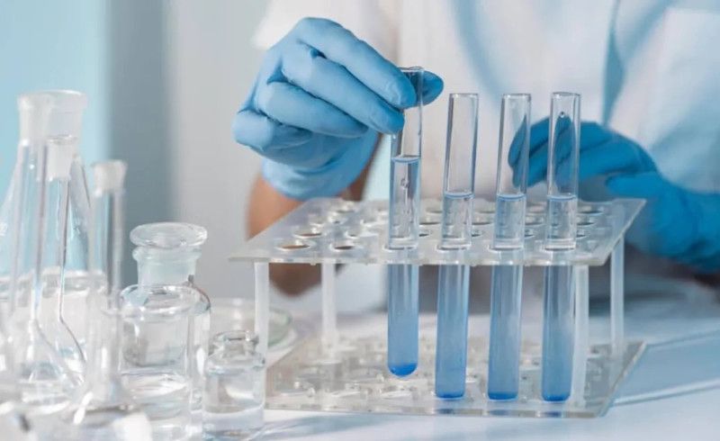 Investigadores santafesinos avanzan en la regeneración de tejido óseo
