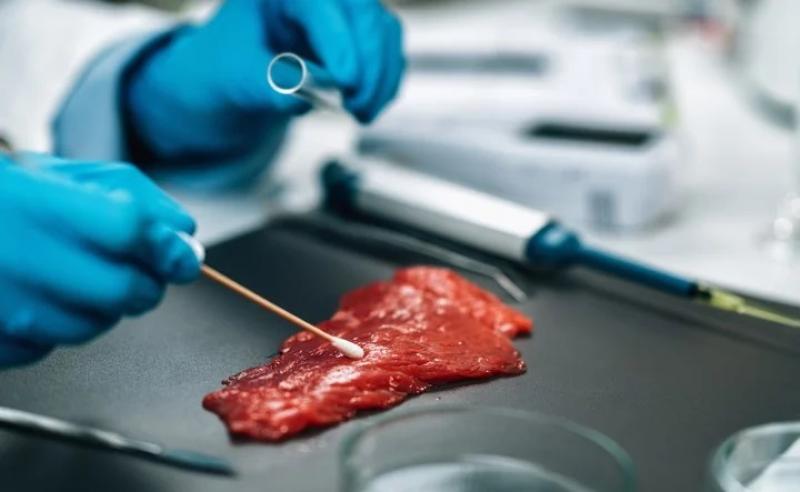 Santa Fe: no hay casos de Salmonella o Shigella