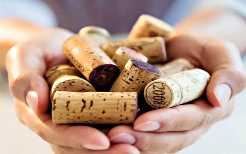 Un corcho de vino en la heladera para ahorrar energía eléctrica: cómo funciona y dónde ponerlo.
