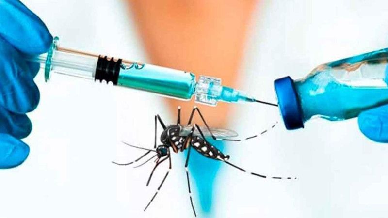 Objetivo Dengue: en Santa Fe ya se colocaron más de 145.000 dosis y suman a adolescentes de las áreas priorizadas.