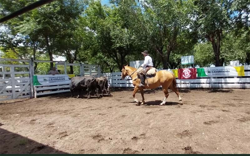 Una buena cantidad de compradores acompañaron en el ùltimo remate raza carne del 2025.