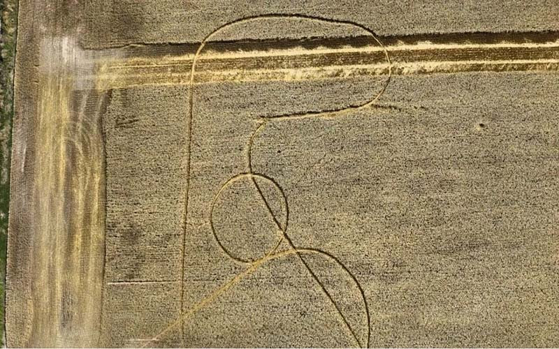 Fenómeno inexplicable: misteriosas líneas en un lote de trigo en Avellaneda.