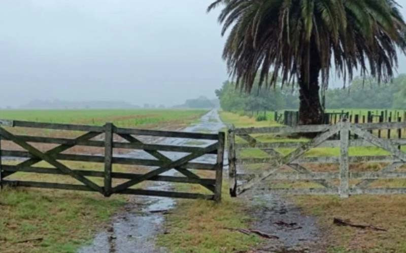 Nuevas lluvias volvieron a frenar las cosechas en el centro norte de Santa Fe.