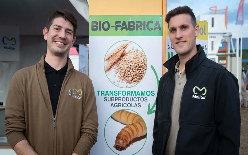 Los socios fundadores se inspiraron en la industria de los insectos de Asia y Europa.