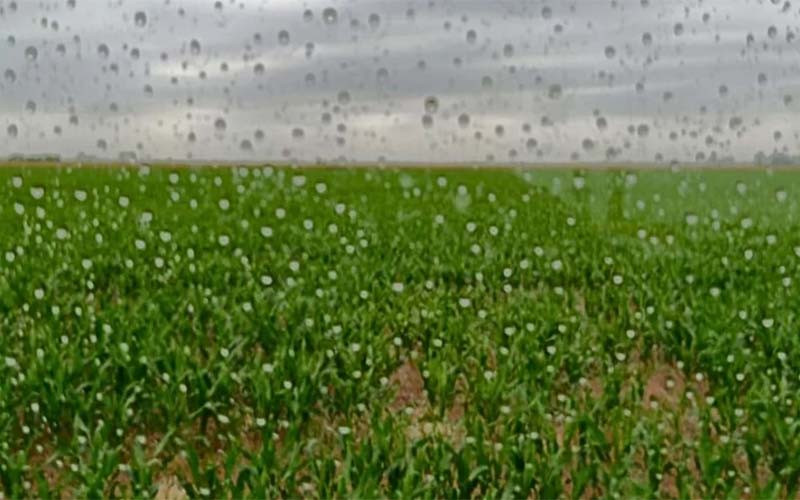 La zona núcleo espera lluvias para salir de la sequía y consolidar la campaña gruesa.