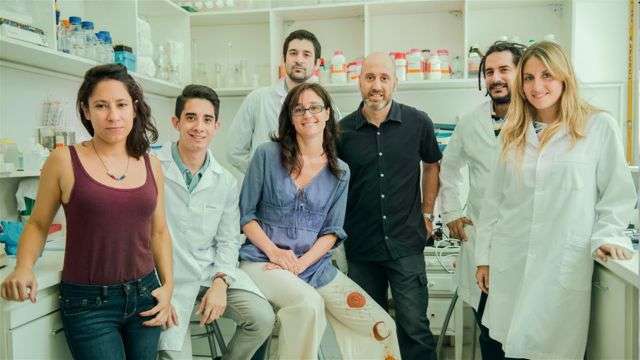 Los doctores Tomás Falzone, Elena Avale (centro) y equipo.