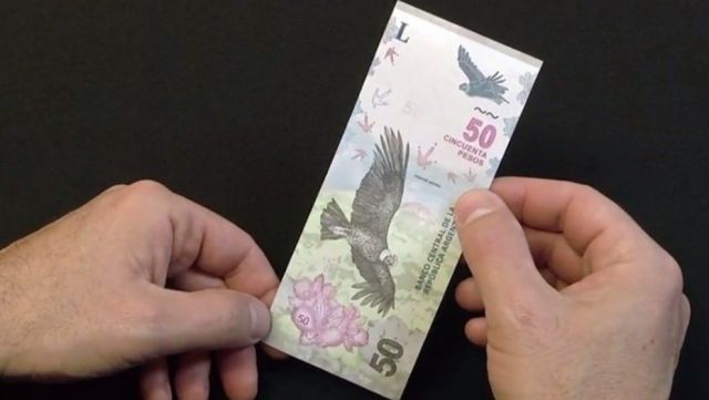 15/08/18 19:45 Sociedad Este jueves comienza a circular el nuevo billete de $50 CAPITAL FEDERAL – El Banco Central (BCRA) puso en circulación el billete de $ 50 con la imagen del cóndor, ave emblemática de la cordillera andina y sierras vecinas de nuestro país, que será distribuido desde este jueves progresivamente a través de la red de sucursales bancarias y cajeros automáticos de todo el país. BILLETE $50 El nuevo billete coexistirá con los otros del mismo valor actualmente en circulación.